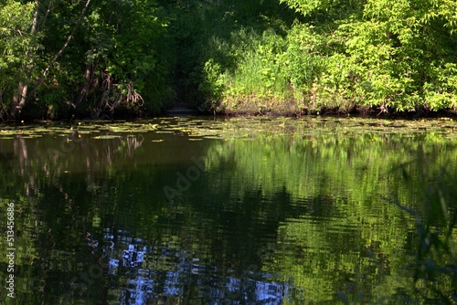 reflection in the water