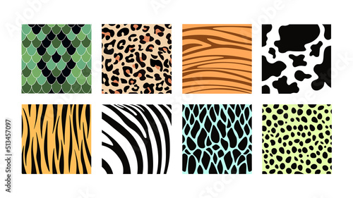 Set of colorful animal prints in cartoon style. Vector illustration of animal skin patterns with snakes  lizards  crocodiles  cows  tigers  leopards  zebras on white background.