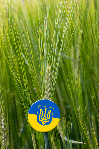 an ear of corn with a button photo