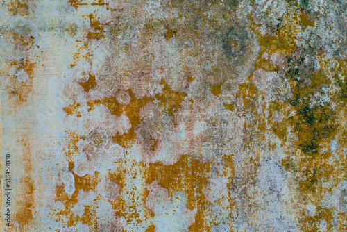 Rustic wall with green brown lichen with dappled sunlight texture background