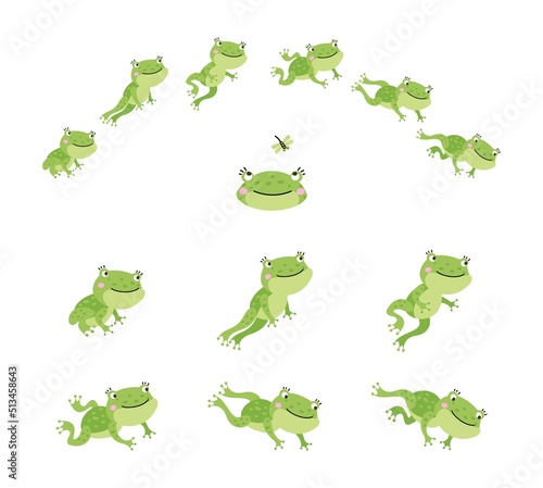 Frog jump. Isolated jumping green frogs, motion process animation. Sequence movement character. Cute cartoon toad leap, nowaday vector scene