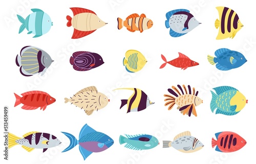 Exotic fish set. Creatures colourful, fishes sea or tropical ocean life. Underwater and aquarium cute animal and goldfish. Isolated decent water vector characters