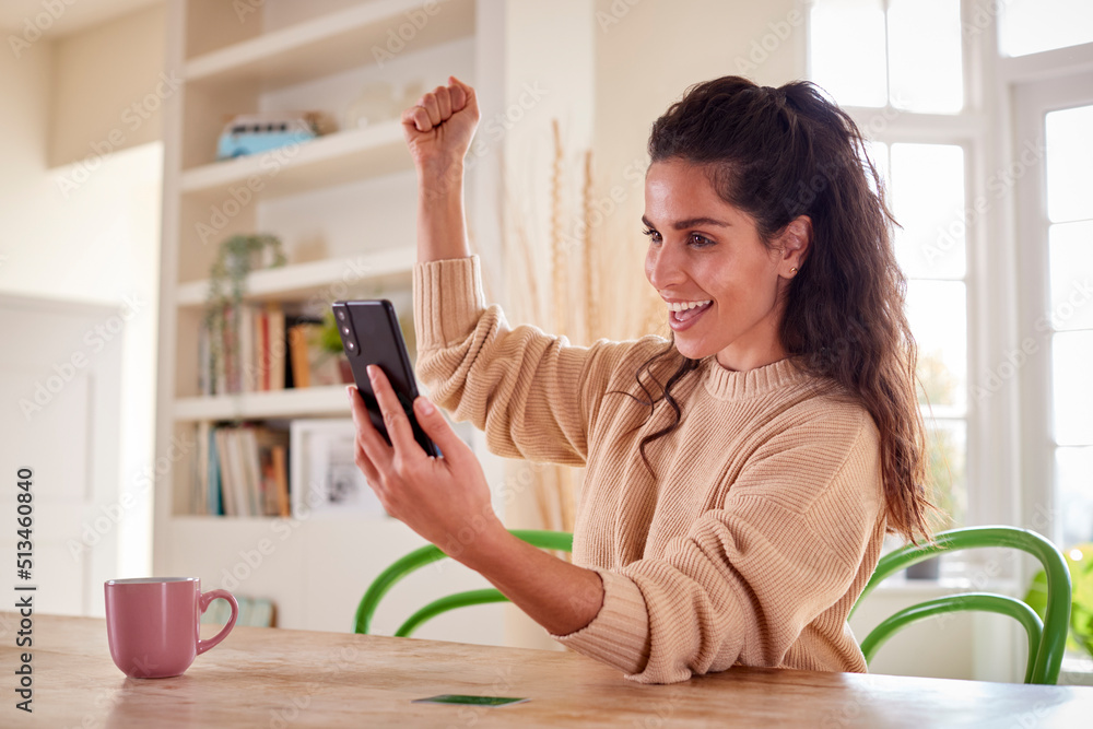 Celebrating Woman With Credit Card At Home Using Mobile Phone To Review Finances To Start Business Celebrating Woman With Credit Card At Home Using Mobile Phone To Review Finances To Start Business
