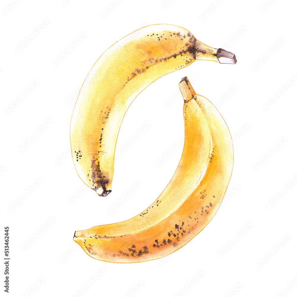 Watercolor set of bananas Watercolor set of bananas