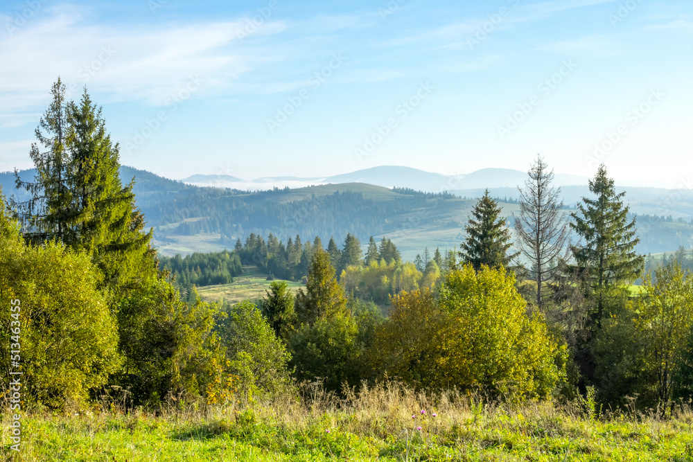 Ukrainian Carpathians and Summer Morning