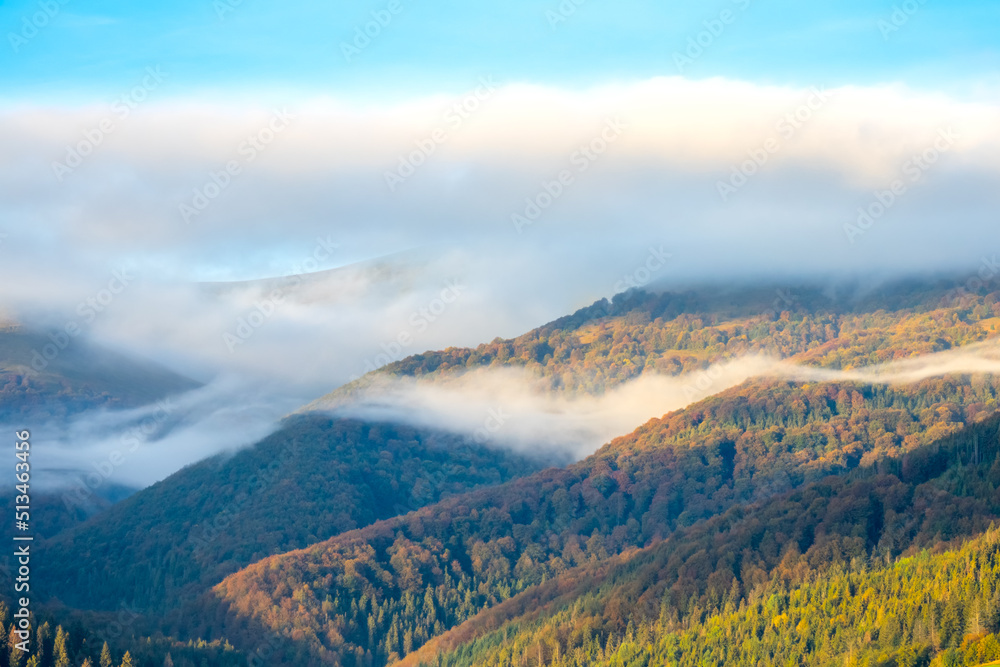 Waves of Morning Mist in Wooded Mountains