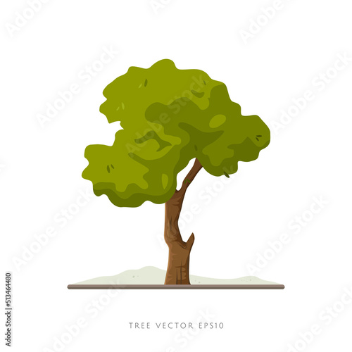 Tree vector illustration on white background, landscape decoration element