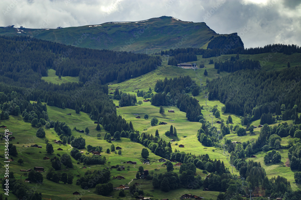 Obraz premium Mountain view with small village in Switzerland. View of houses on green grassy hill.