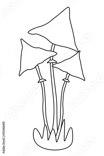 simple vector illustration with mushrooms