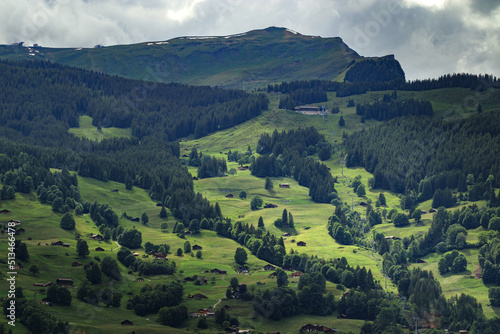 Mountain view with small village in Switzerland. View of houses on green grassy hill.
