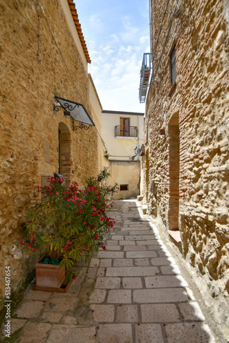 Fototapeta Naklejka Na Ścianę i Meble -  A narrow street among the old houses of Irsina in Basilicata, region in southern Italy.