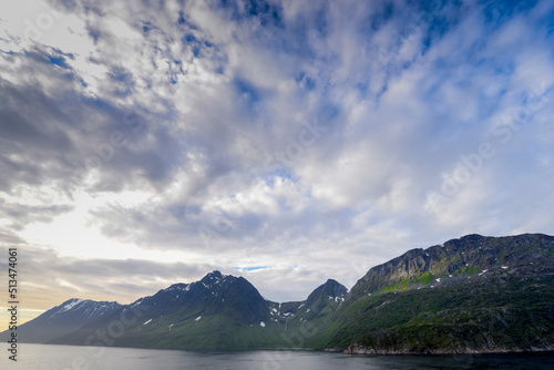 Norwegian coast, view from the deck of a cruise ship © goyoconde