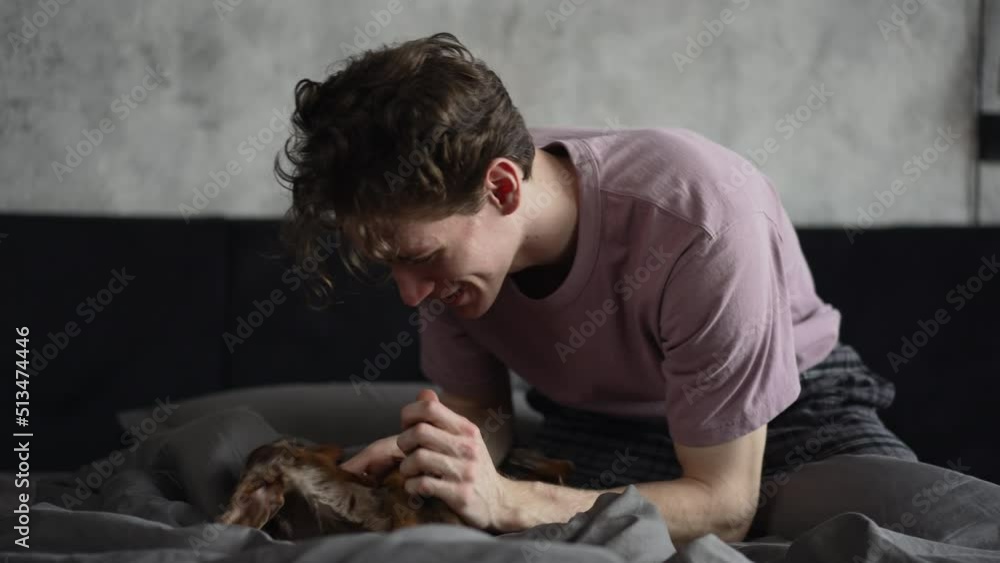 Close view of young man is playing with purebred dog and sitting on bed at home spbd. 4k Portrait of caucasian guy has fun with beloved pet and touches him, looks with smile and sits in light interior Close view of young man is playing with purebred dog and sitting on bed at home spbd. 4k Portrait of caucasian guy has fun with beloved pet and touches him, looks with smile and sits in light interior