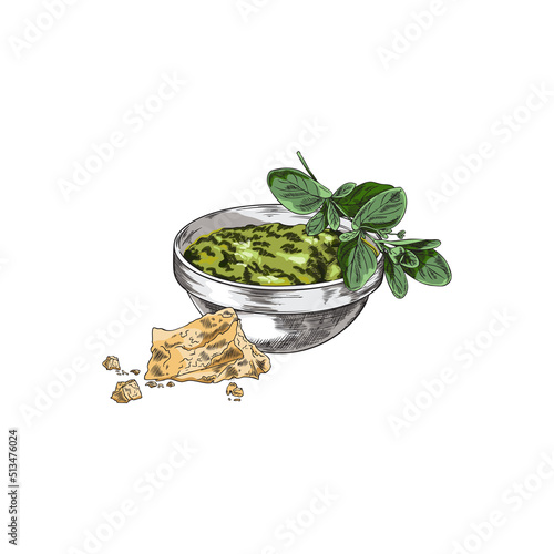 Pesto sauce with basil and parmesan cheese, sketch vector illustration isolated on white background.