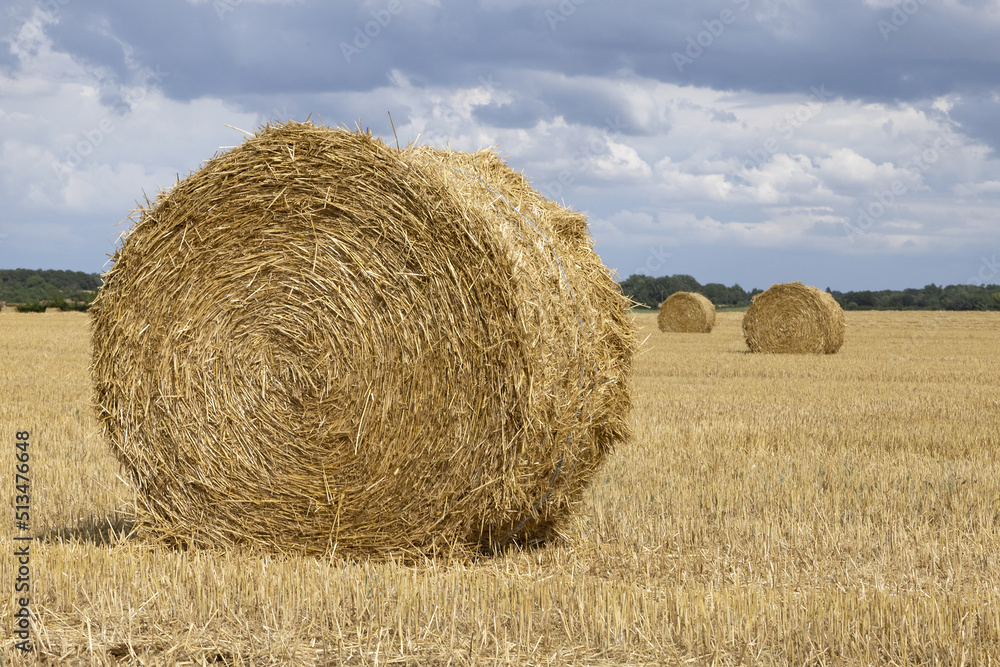 Balles de paille après les moissons	