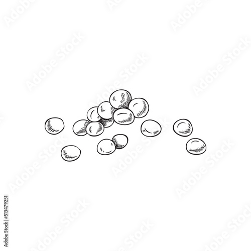 Hand drawn round mustard seeds sketch style, vector illustration