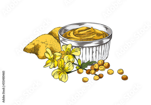 Hand drawn mustard powder, sauce and plant with seeds sketch style