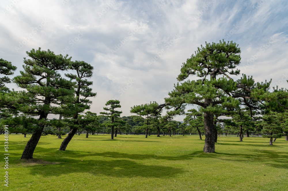 東京都千代田区丸の内から見た東京の都市景観