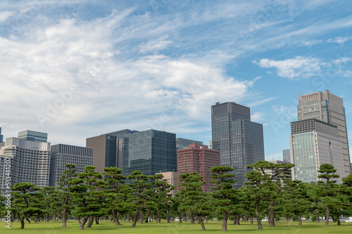 東京都千代田区丸の内から見た東京の都市景観