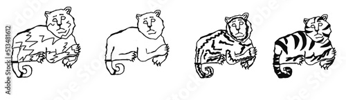 Tigers contour stylization simplification