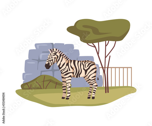 Zebra and habitat for living, nature reserve for animals in Africa, zoo garden. African wildlife and climate ecosystem bioreserve for equines. Flat cartoon, vector illustration