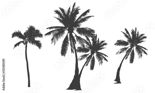 Black palm trees vector set. Summer palm trees for fashion, poster, batch, sticker and others uses.