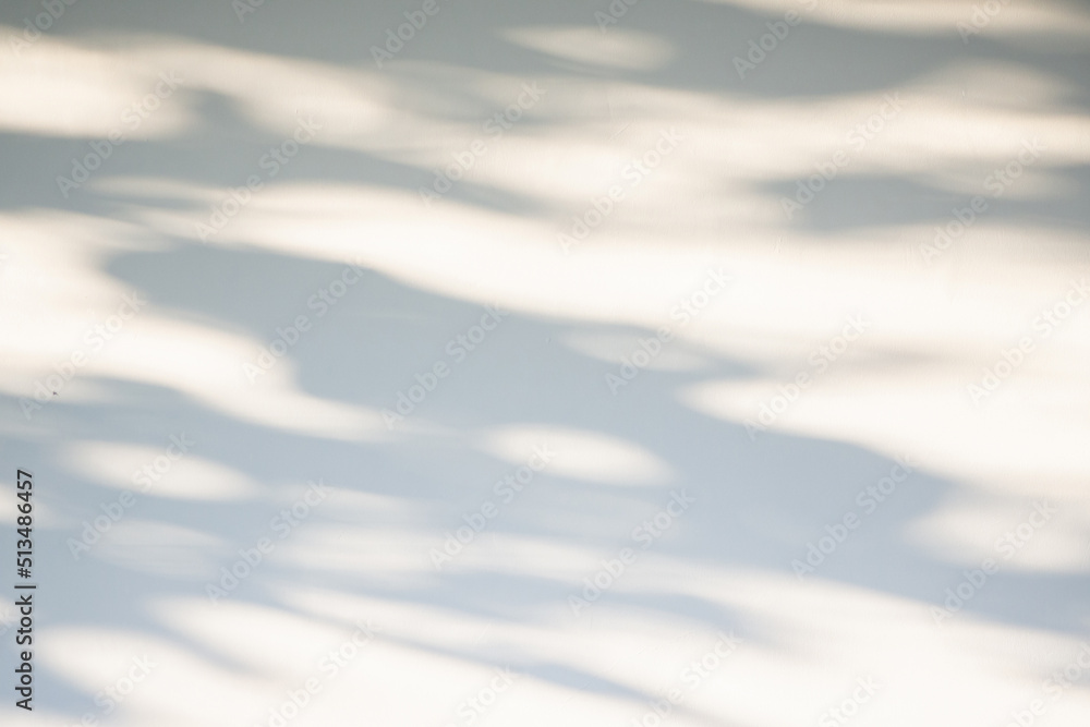 Abstract natural tree leaves shadow on white wall background Abstract natural tree leaves shadow on white wall background