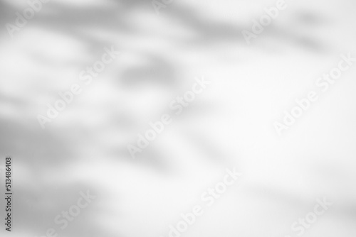 Abstract natural tree leaves shadow on white wall background