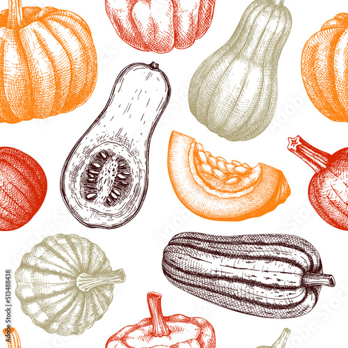 Sketched pumpkin seamless pattern. Thanksgiving day wall design. Autumn food background. Vector vegetables, butternut squash, marrow, pumpkin slice sketches. Fall harvest festival backdrop