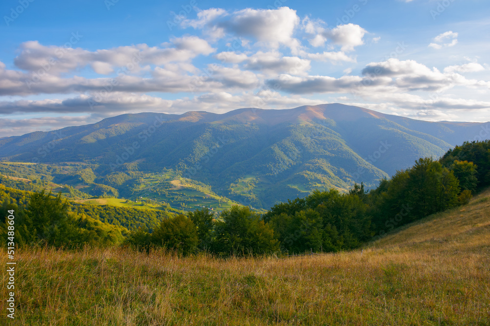 carpathian countryside landscape in evening light. beautiful mountain scenery in autumn. grassy meadows and forested hills. rural valley in the distance. ridge beneath a blue sky with gorgeous clouds