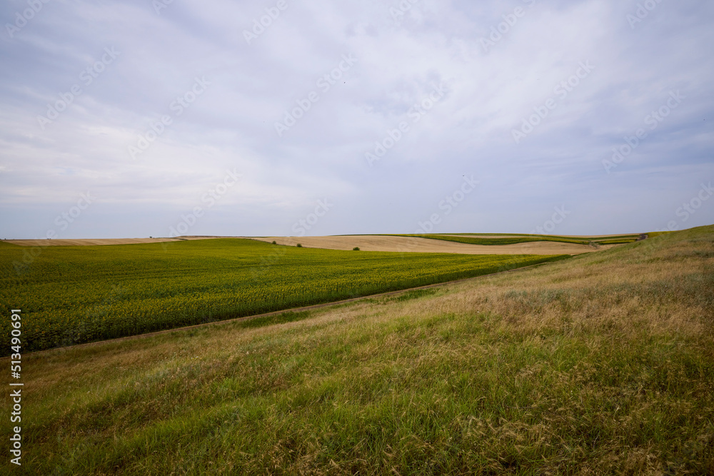mixed agricultural fields with wheat and sunflower