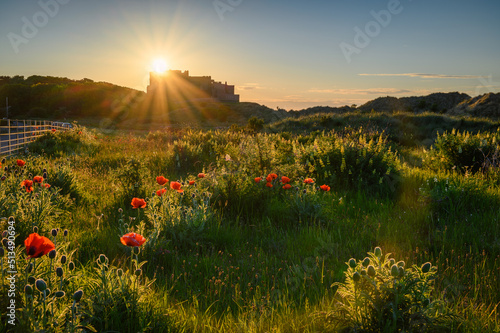 Sunburst over Bamburgh Castle and Flowers, above oriental poppies in the Bamburgh sand dunes on Northumberland's coastline AONB, adjacent to the Northumberland 250 route