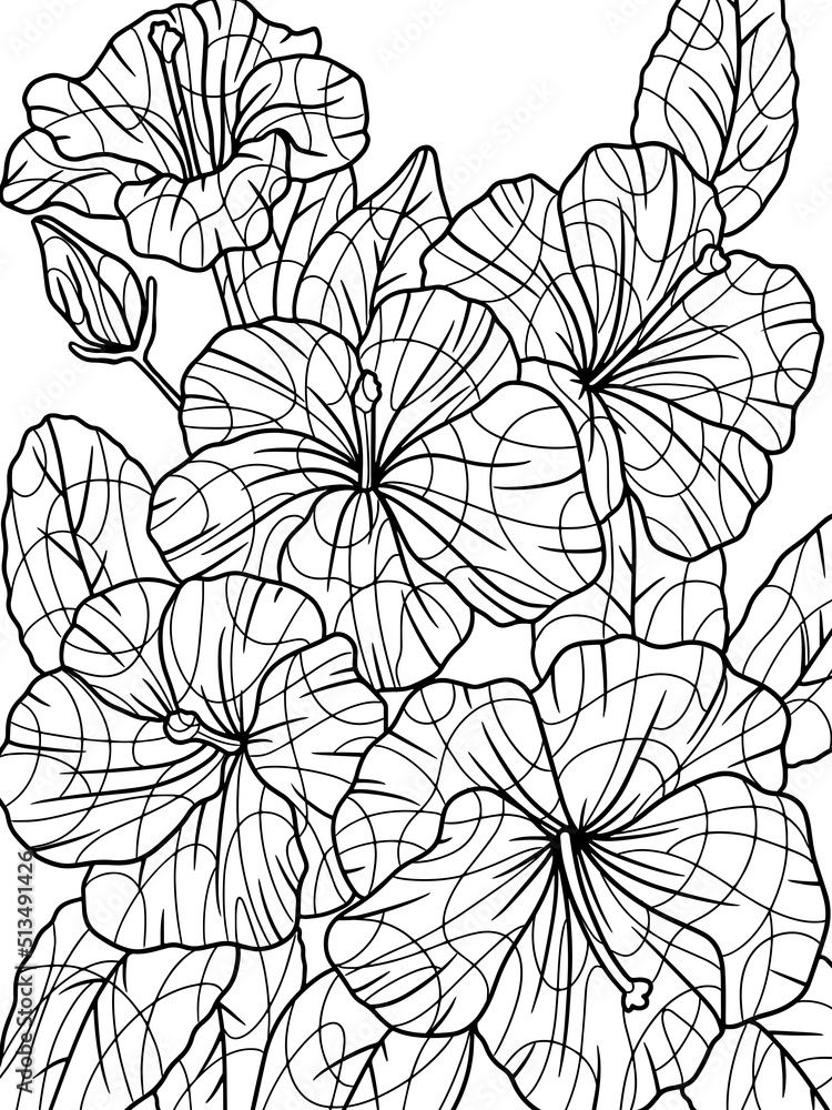 Coloring hibiscus, plant zen. Flower outline. Vector, page outline of cartoon. 