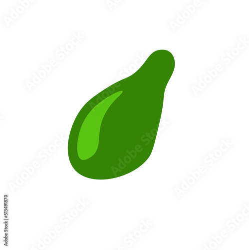 avocado fruit green avocad icon tropical fruit illustration photo