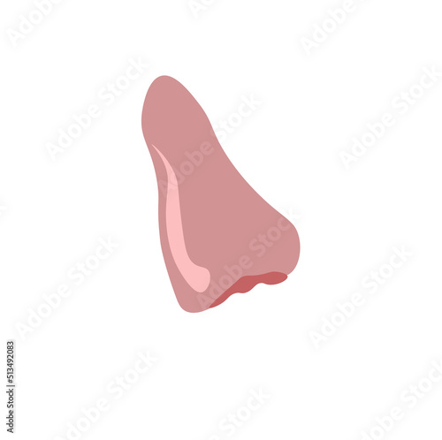 illustration of water apple pink fruit icon exsotic photo