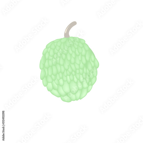 srikaya fruit icon indonesian green fruit photo