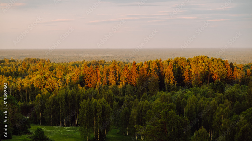 Beautiful Latvian landscape with forests, meadows, cloudy skies