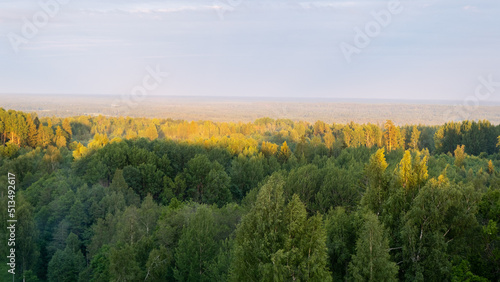 Beautiful Latvian landscape with forests, meadows, cloudy skies.