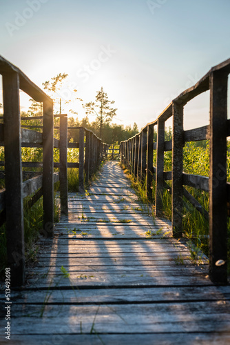 A wooden path in a Polish forest in Podlasie. During sunset