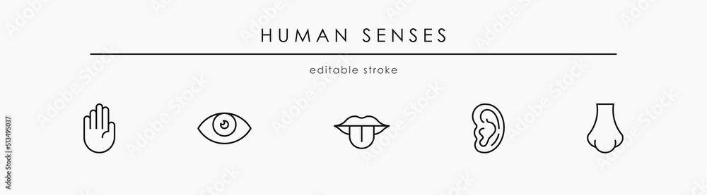 Five human senses line icons set. Elements: vision, hearing, smell, taste, touch on white background. Sign for web page, mobile app, banner, social media. Editable stroke. - obrazy, fototapety, plakaty 