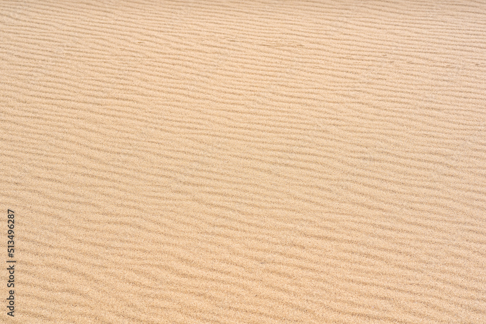 wind ripples on the sandy surface in the desert wind ripples on the sandy surface in the desert