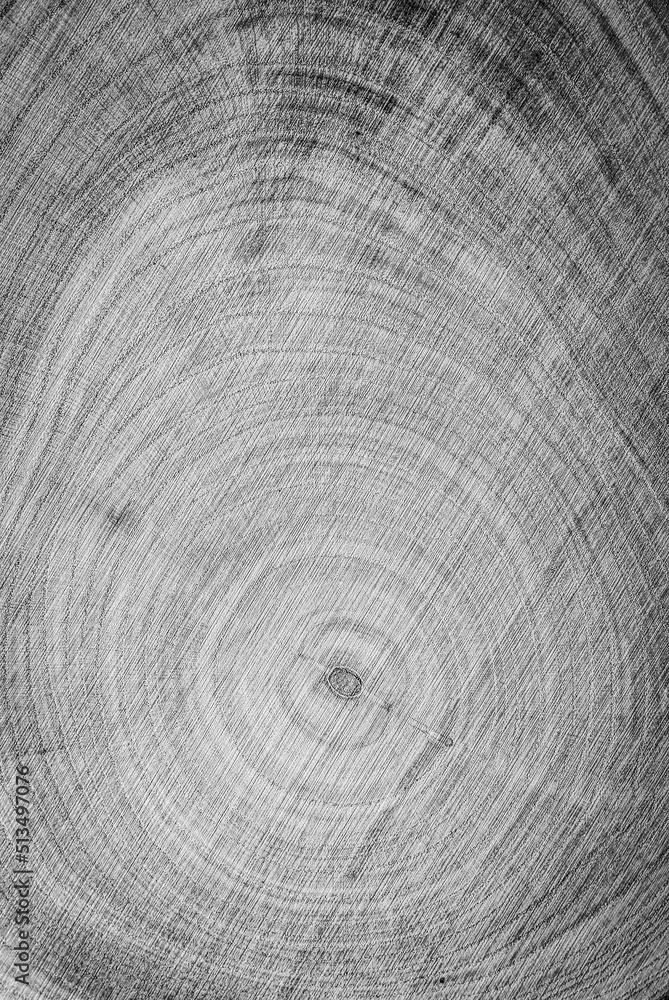 Fototapeta premium Tree trunk background