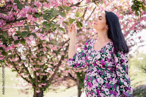 pregnant woman in a dress with black hair near cherry blossoms in spring