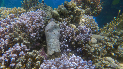 Old plastic bottle lies on the beautiful coral reef. Plastic pollution of the Ocean. Red sea, Egypt
