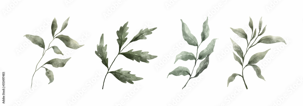 Greenery Leaves Watercolor Hand Drawn. Set of green leaf in watercolor style isolated on white background. Decorative beauty elegant illustration collection for design Greenery Leaves Watercolor Hand Drawn. Set of green leaf in watercolor style isolated on white background. Decorative beauty elegant illustration collection for design