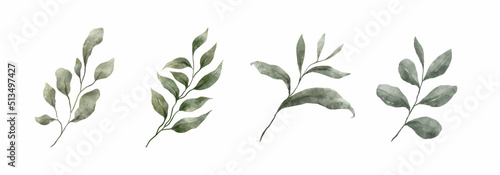 Greenery Leaves Watercolor Hand Drawn. Set of green leaf in watercolor style isolated on white background. Decorative beauty elegant illustration collection for design