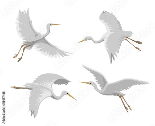 Flying heron birds