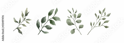 Greenery Leaves Watercolor Hand Drawn. Set of green leaf in watercolor style isolated on white background. Decorative beauty elegant illustration collection for design