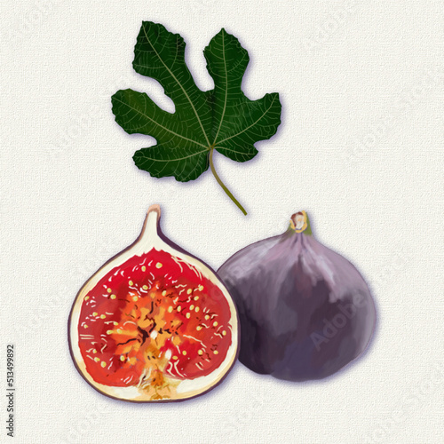 A fig and a fig leaf painted in oil color style on a textured cream-colored background.