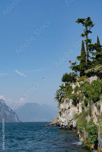 Scenic view of the wild plants and trees on the cliffside of Lake Garda in bright sunlight. Italy photo
